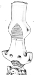 L_W12c2426 A12.0030 J729 pp